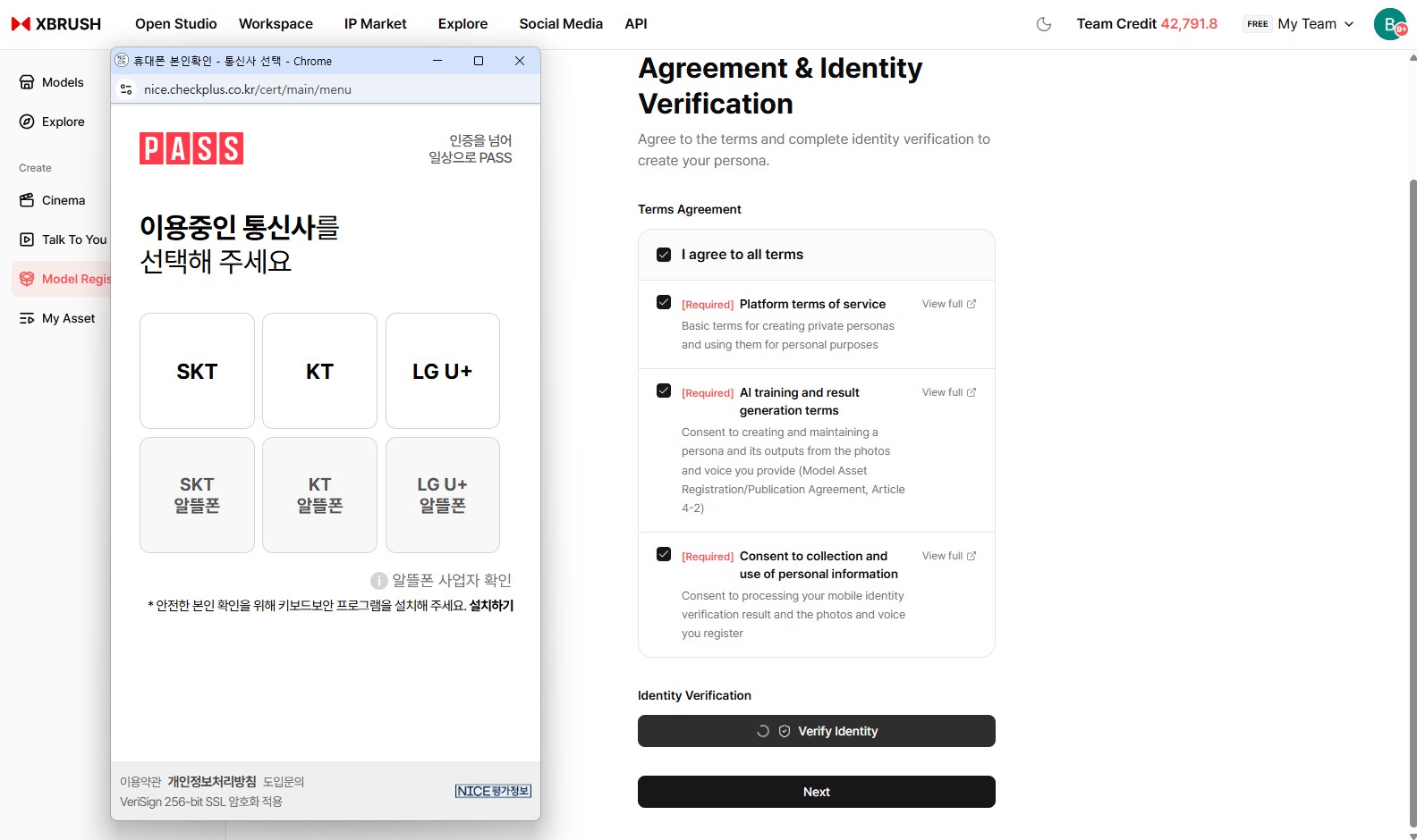 Identity verification