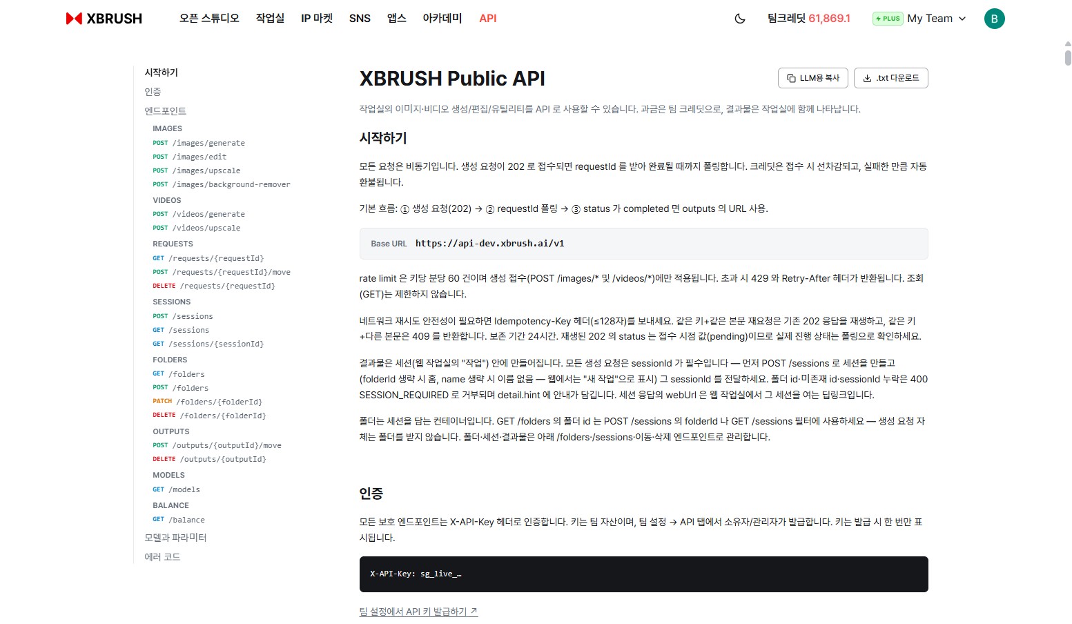 XBRUSH 공개 API 문서